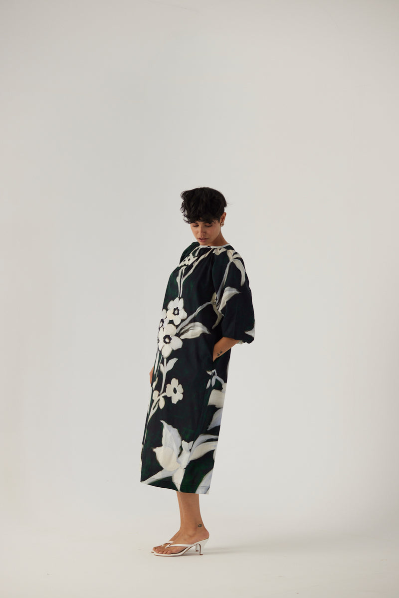 New Season Fall 23/Summer 24-Dress Cotton Satin Chicory Midi Black-YAMBB22-Fashion Edit Yam - Shop Cult Modern