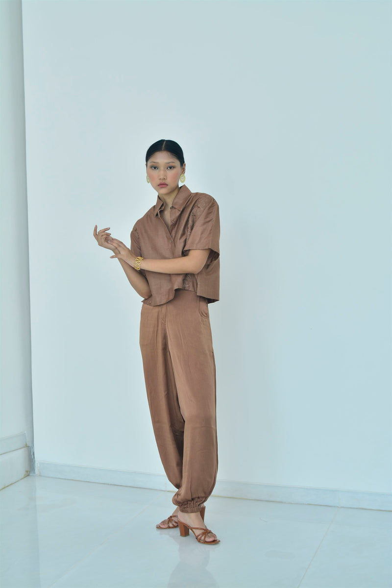 New Season Summer to Fall 2024-Shirt Boxy Embroidered Silk Brown-TB/TS/033-Suzanne-Fashion Edit Hemji - Shop Cult Modern