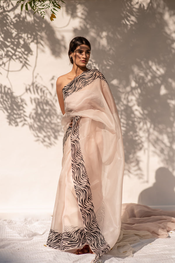 Kapardara - Motion Dazzle  Saree - Silk Organza - Handpainted - Rose Water Stripes - Shop Cult Modern