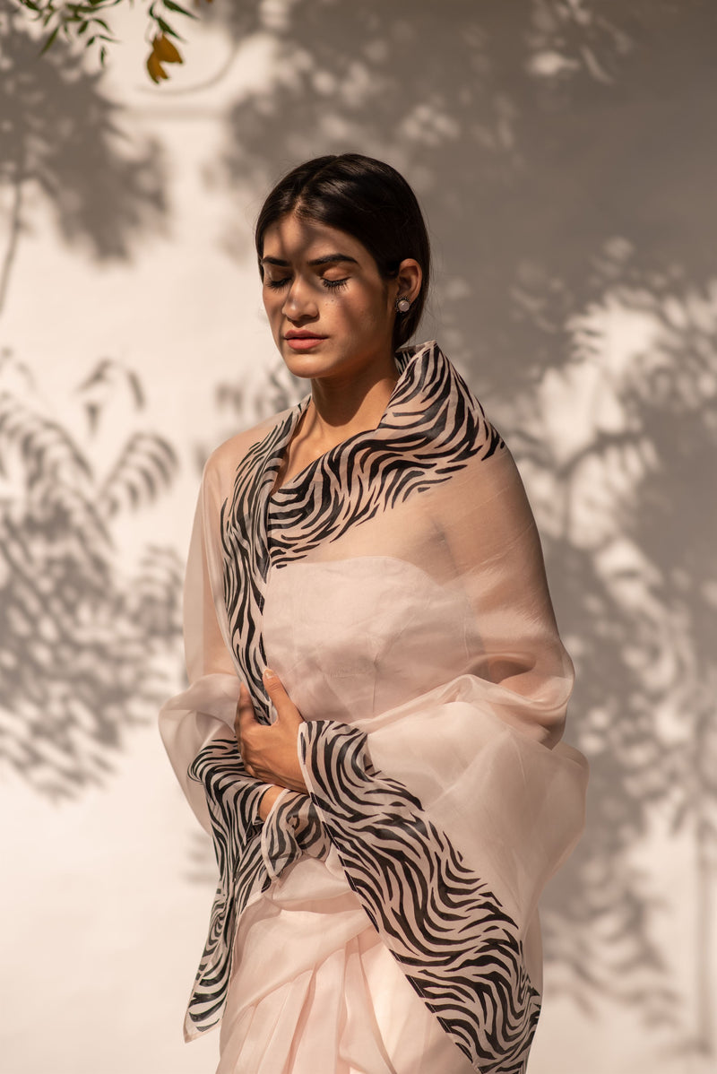 Kapardara - Motion Dazzle  Saree - Silk Organza - Handpainted - Rose Water Stripes - Shop Cult Modern