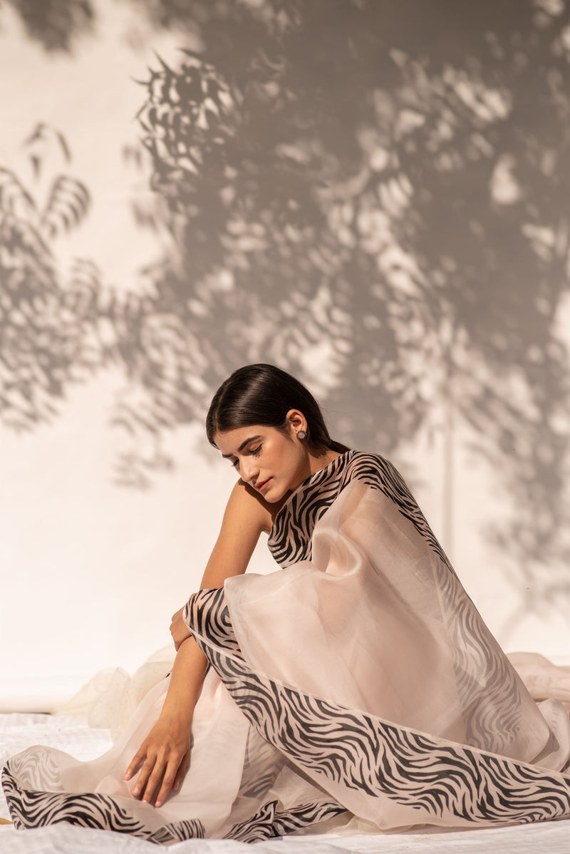 Kapardara - Motion Dazzle  Saree - Silk Organza - Handpainted - Rose Water Stripes - Shop Cult Modern