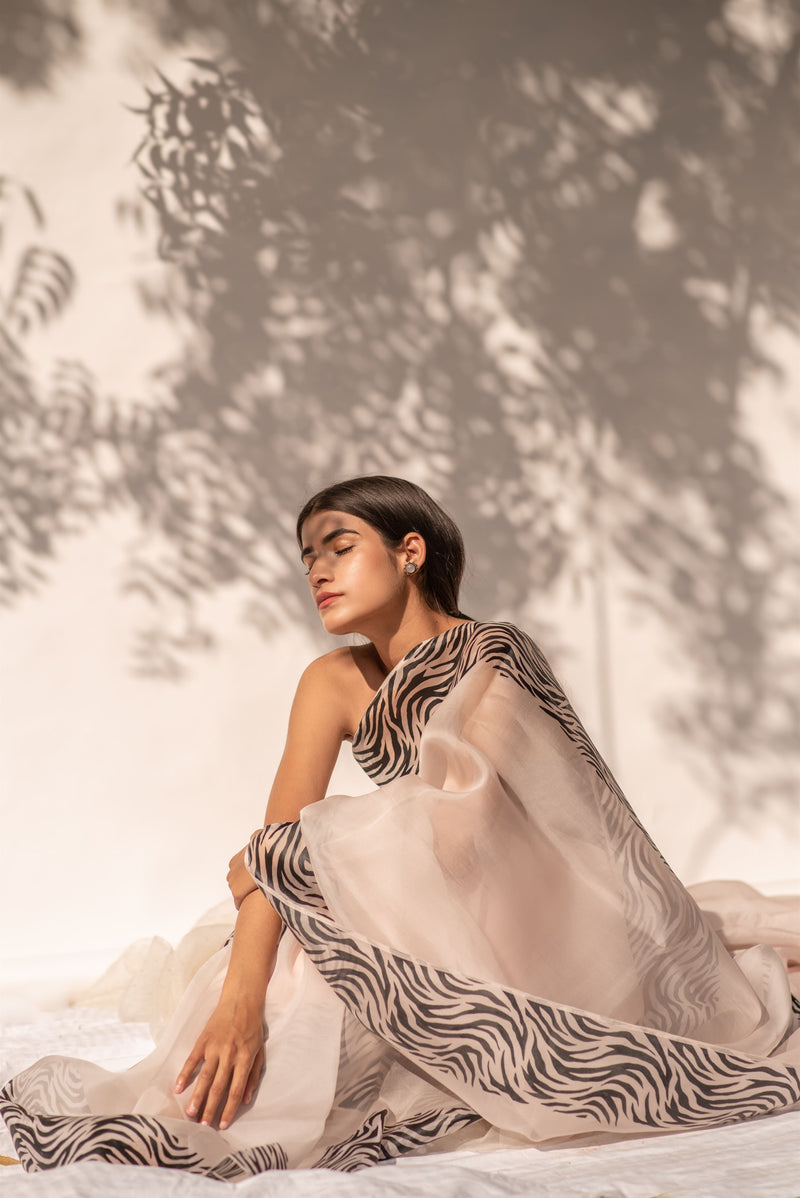 Kapardara - Motion Dazzle  Saree - Silk Organza - Handpainted - Rose Water Stripes - Shop Cult Modern