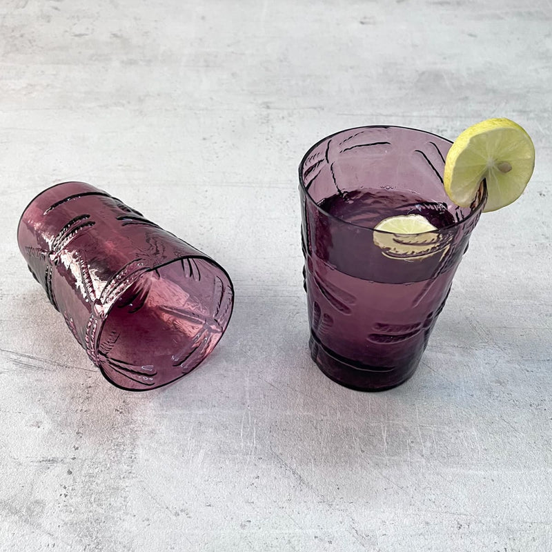 Home Artisan Evren Plum Dragonfly Drinking Glass (Set of 2) - Shop Cult Modern