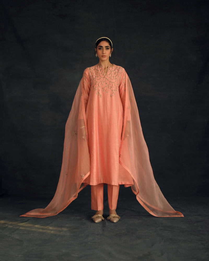 Shikha Mehta Alia Salmon Zayra Kurta Set Silk Chanderi Silk Organza Pink Hana Ss21F-Zk - Shop Cult Modern