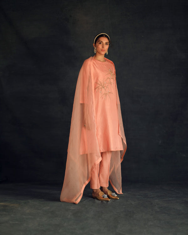 Shikha Mehta Jungkook Salmon Hania Kurta Set Silk Silk Chanderi Silk Organza Pink Hana Ss21F-Hk - Shop Cult Modern