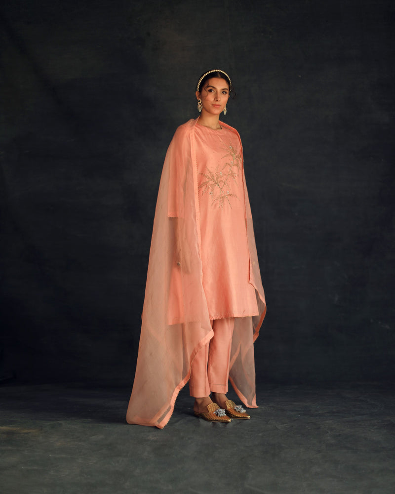 Shikha Mehta Jungkook Salmon Hania Kurta Set Silk Silk Chanderi Silk Organza Pink Hana Ss21F-Hk - Shop Cult Modern