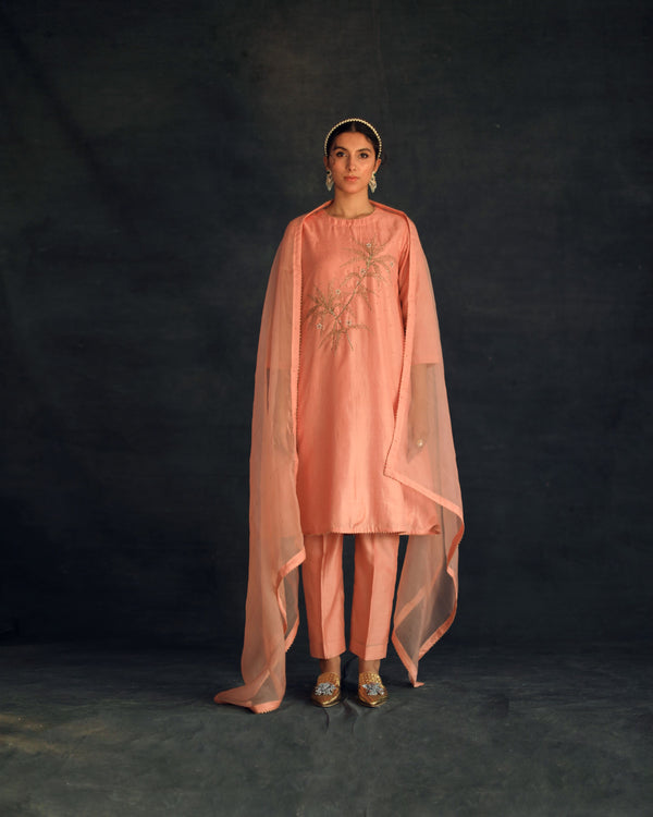 Shikha Mehta Jungkook Salmon Hania Kurta Set Silk Silk Chanderi Silk Organza Pink Hana Ss21F-Hk - Shop Cult Modern