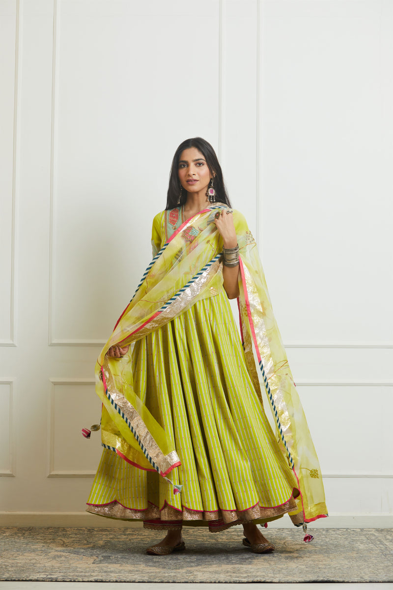 Raji Ramniq Mehezebeen Collection Lime Printed Anarkali Dupatta Mb-105 - Shop Cult Modern