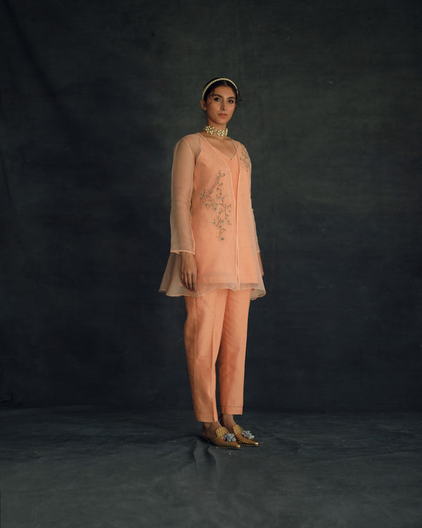 Shikha Mehta Kim Apricot Zahi Cape Set Silk Organza Silk Chanderi Peach Hana Ss21F-Zc - Shop Cult Modern