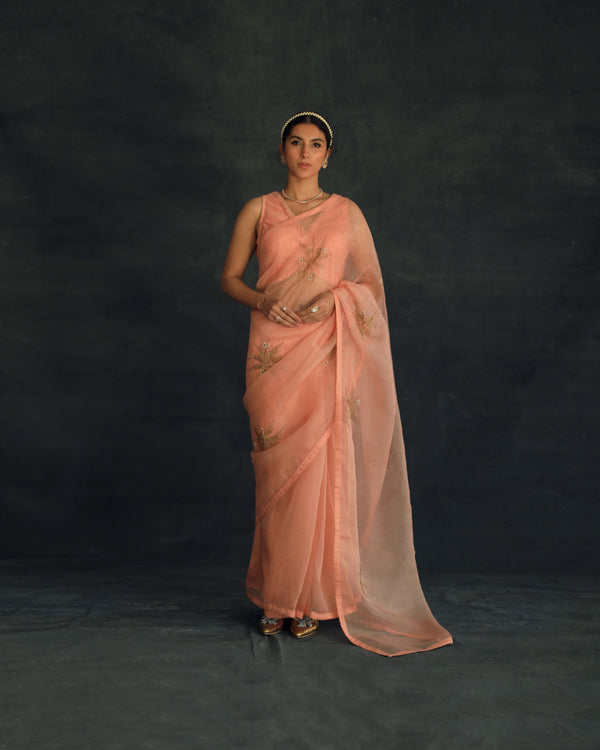 Shikha Mehta Kaif Salmon Savi Saree Set Silk Organza Silk Chanderi Pink Hana Ss21F-Ss - Shop Cult Modern