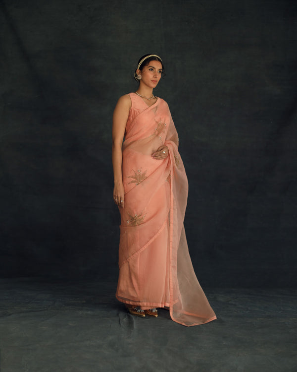 Shikha Mehta Kaif Salmon Savi Saree Set Silk Organza Silk Chanderi Pink Hana Ss21F-Ss - Shop Cult Modern