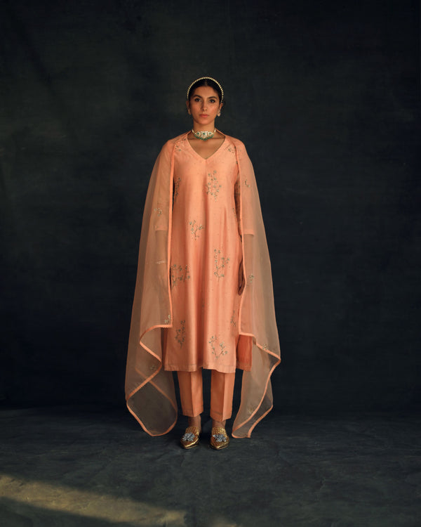 Shikha Mehta Zendaya Apricot Kaashvi Kurta Set Silk Chanderi Silk Organza Peach Hana Ss21F-Kk - Shop Cult Modern